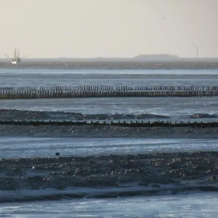 Feriehus Fuer 4 Personen Ca 70 M In Norderfriedrichskoog, Norddeutschland Nordseekueste Deutschland Norderfriedrichskoog